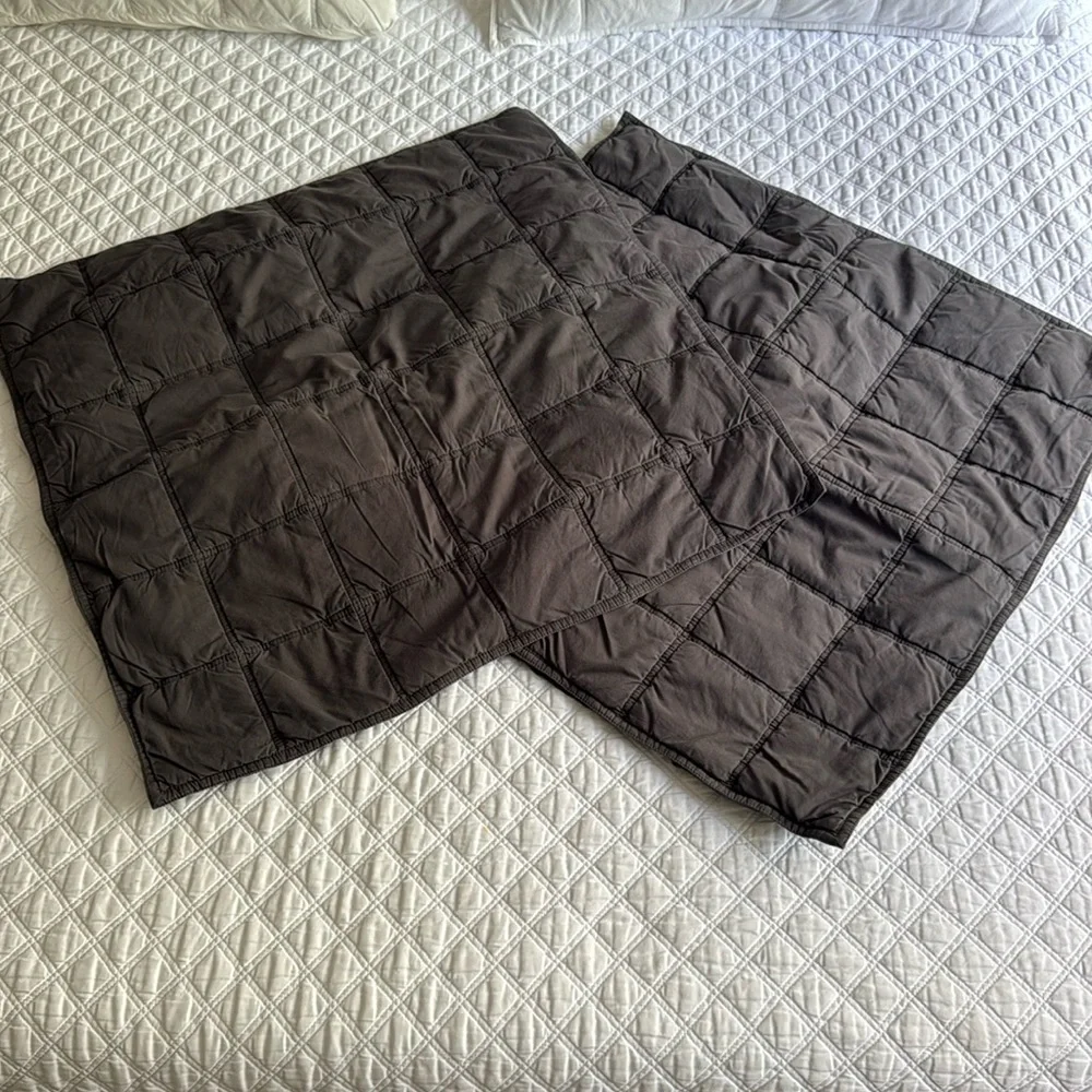 West Elm Pillow Euro Shams
